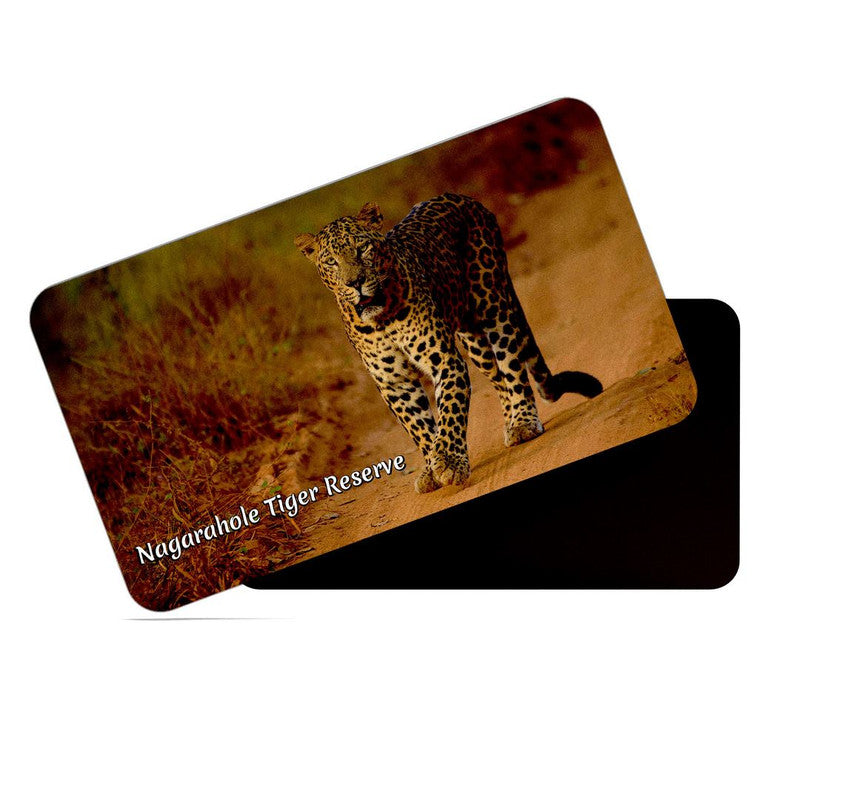 dhcrafts Rectangular Rubber Fridge Magnet / Magnetic Card Multicolor Karnataka Nagarahole Tiger Reserve Design Pack of 1 (8.6cm x 5.4cm)
